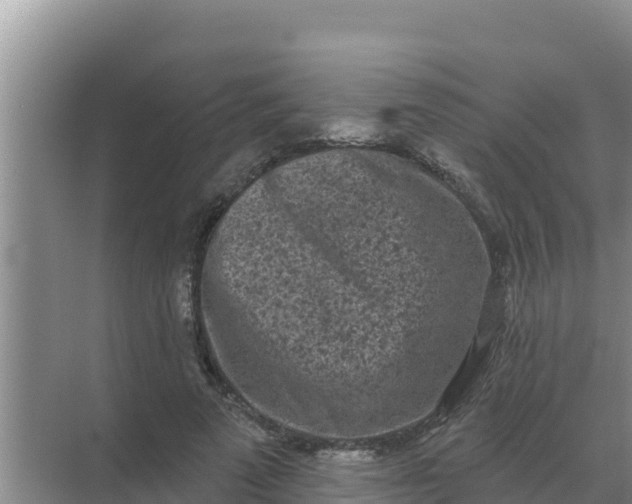 X0000071770689200607150029