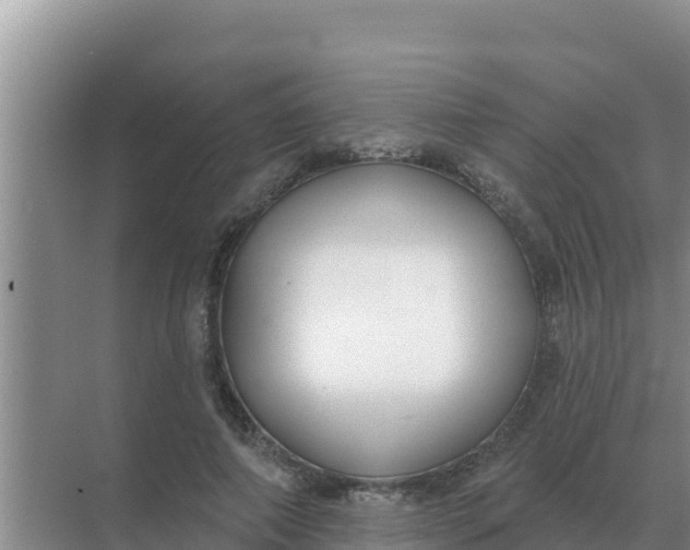 X0000071770690200607150029