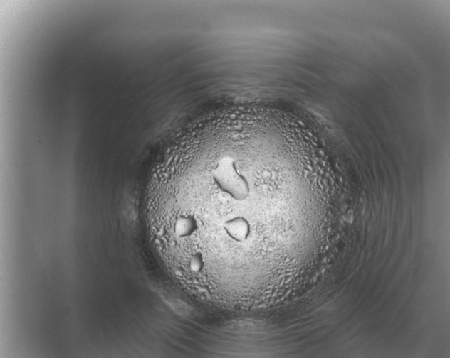 X0000071770691200607150029