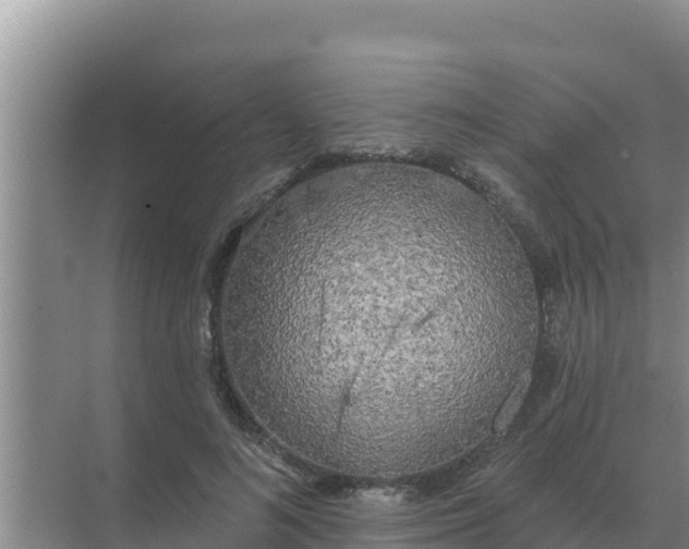 X0000071770692200607150029