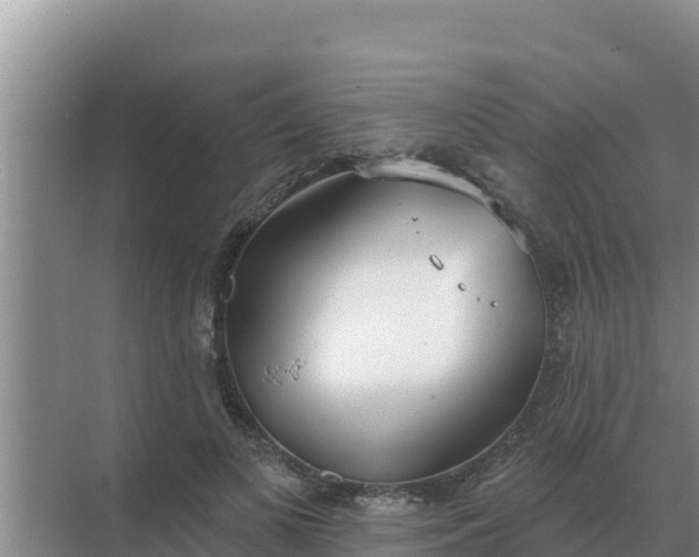 X0000071770693200607150029