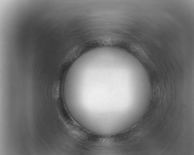 X0000071770694200607150029