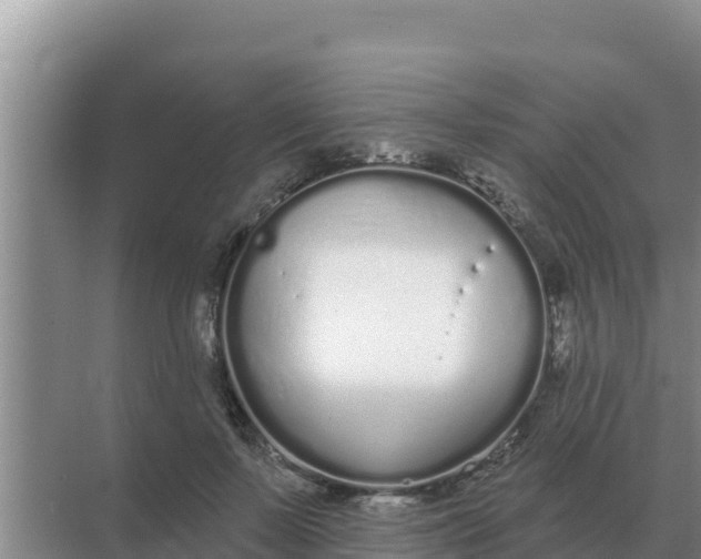 X0000071770695200607150029