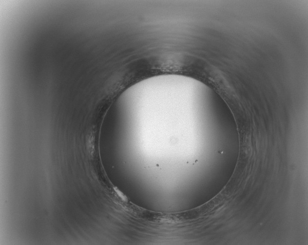 X0000071770697200607150028