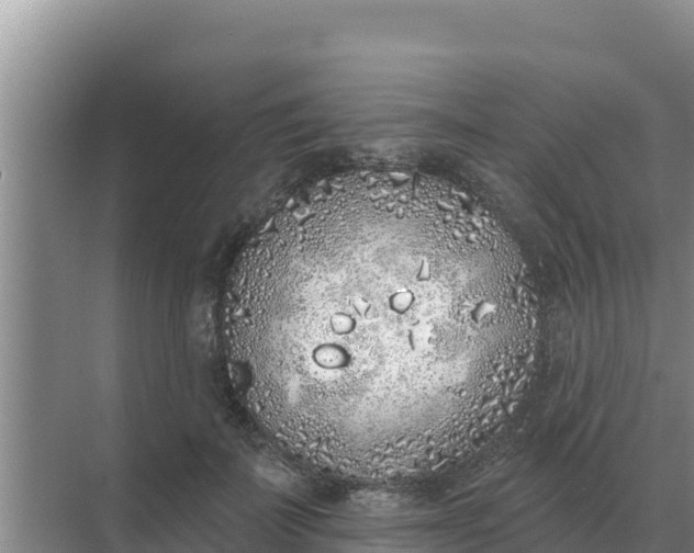 X0000071770699200607150028