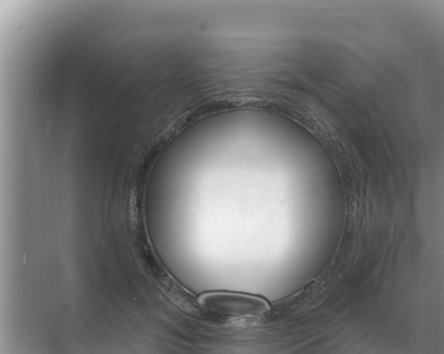 X0000071770700200607150028