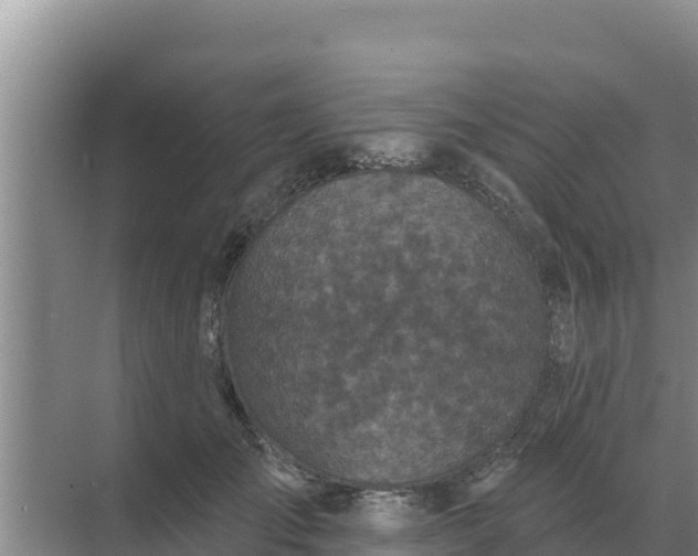 X0000071770701200607150028