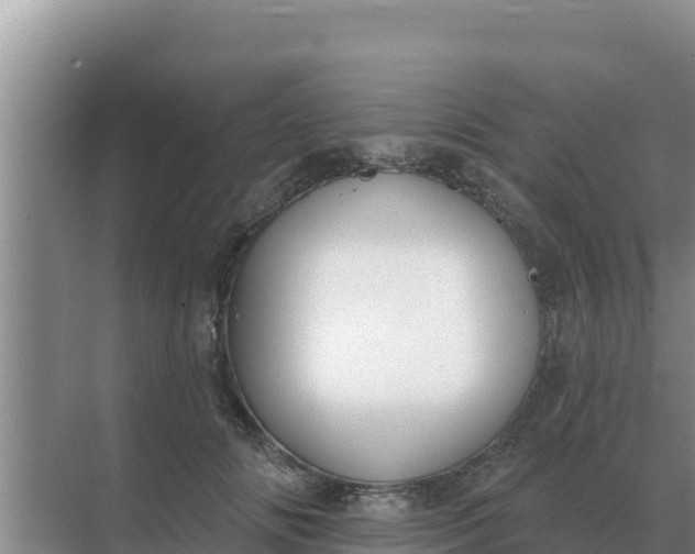 X0000071770702200607150028