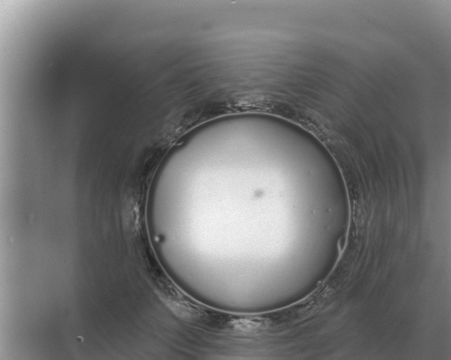 X0000071770703200607150028