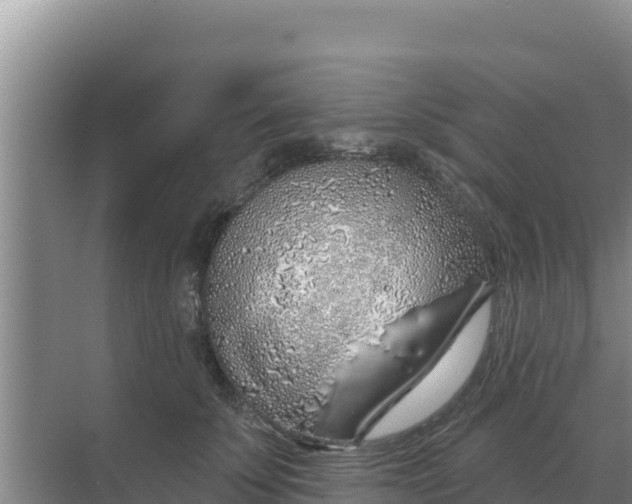 X0000071770707200607150028