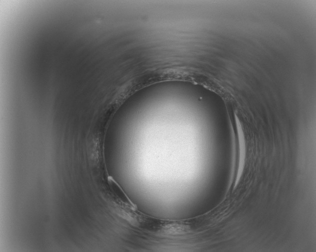 X0000071770708200607150028