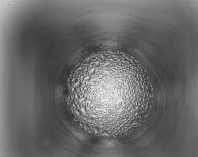 X0000071770711200607150028