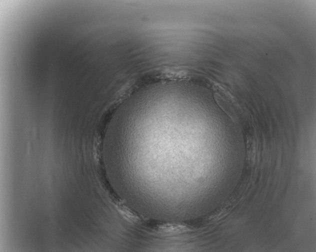 X0000071770712200607150028