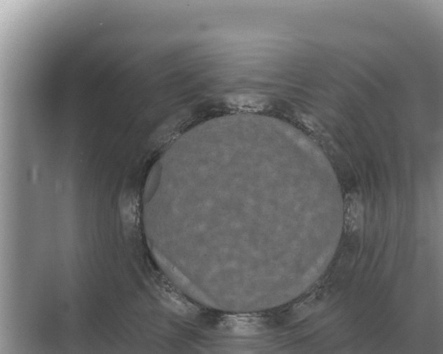 X0000071770713200607150028