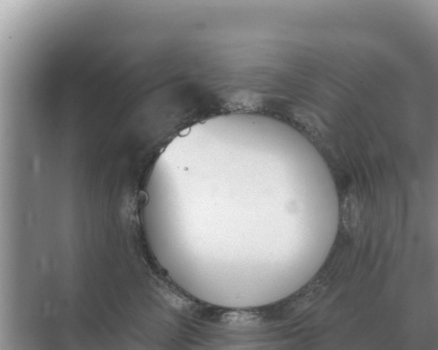 X0000071770714200607150028