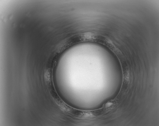 X0000071770715200607150028