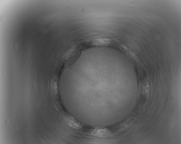 X0000071770716200607150028