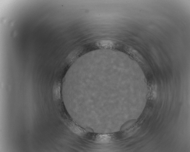 X0000071770717200607150028