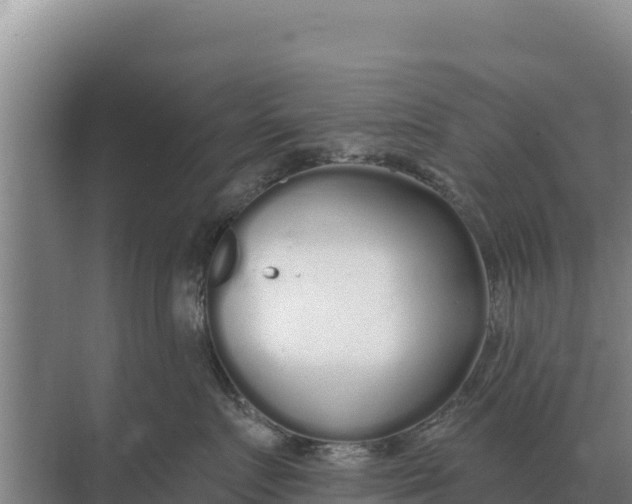 X0000071770719200607150028