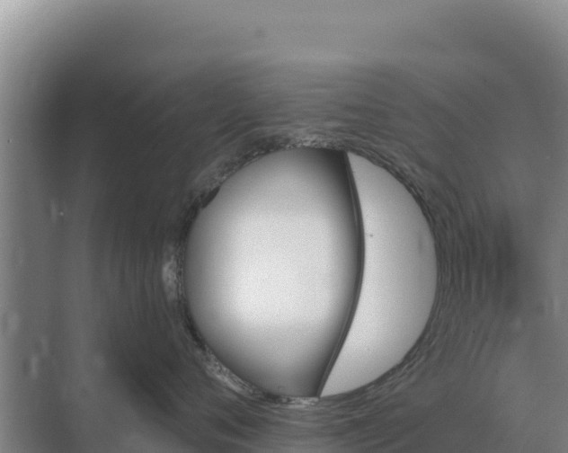 X0000071770720200607150028