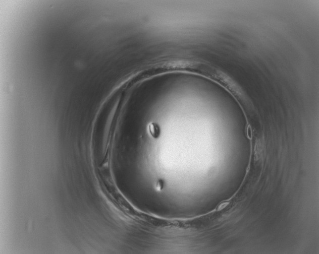 X0000071770722200607150027