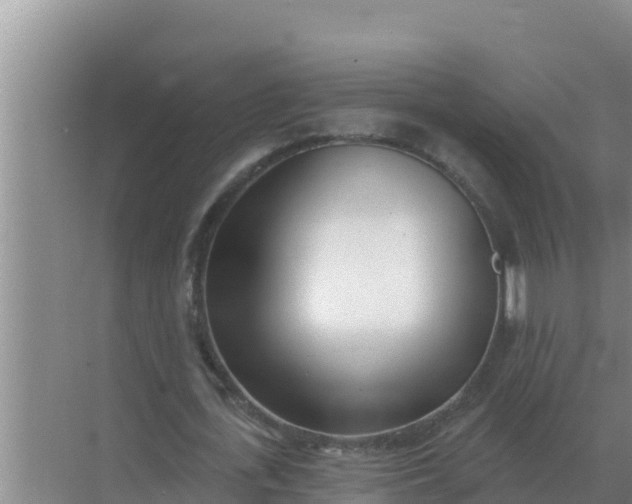 X0000071770723200607150027