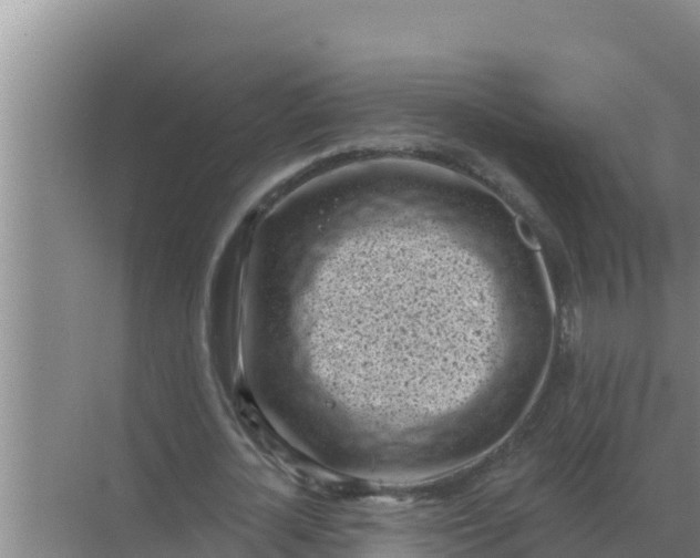 X0000071770724200607150027