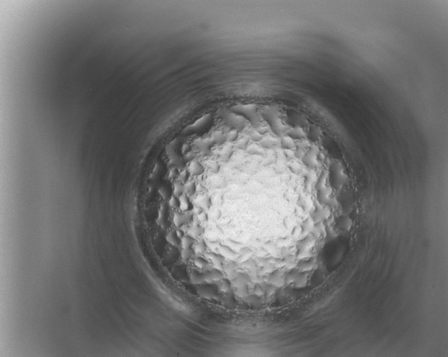 X0000071770725200607150027