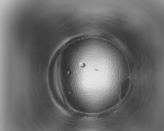 X0000071770726200607150027