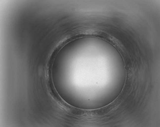 X0000071770727200607150027