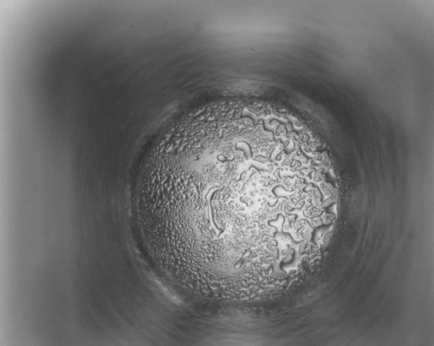 X0000071770729200607150027