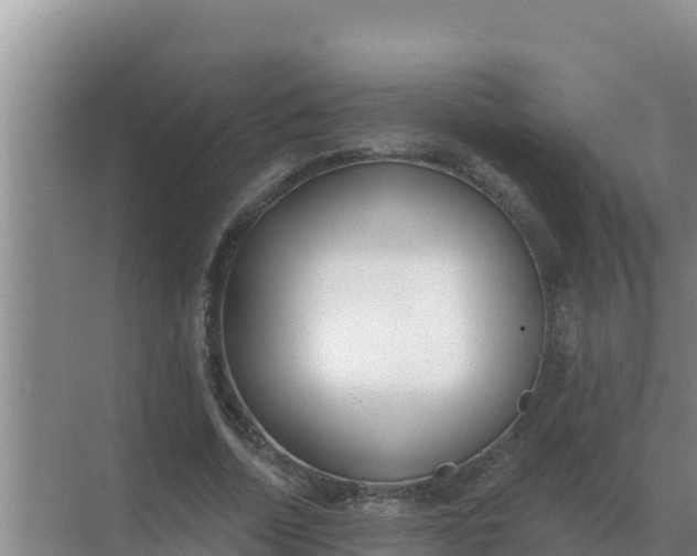 X0000071770730200607150027