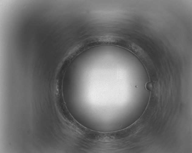 X0000071770731200607150027