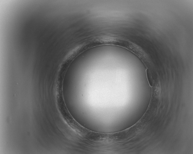 X0000071770732200607150027