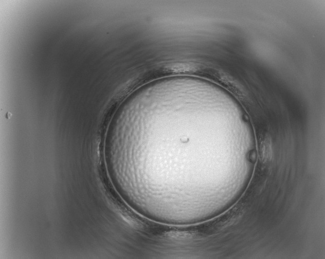 X0000071770733200607150028