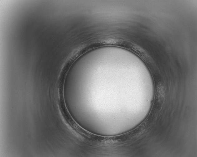 X0000071770734200607150028