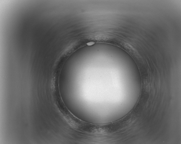 X0000071770735200607150028