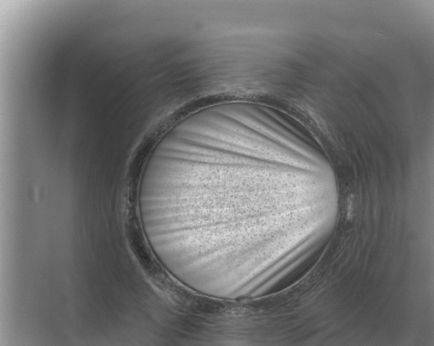 X0000071770736200607150028