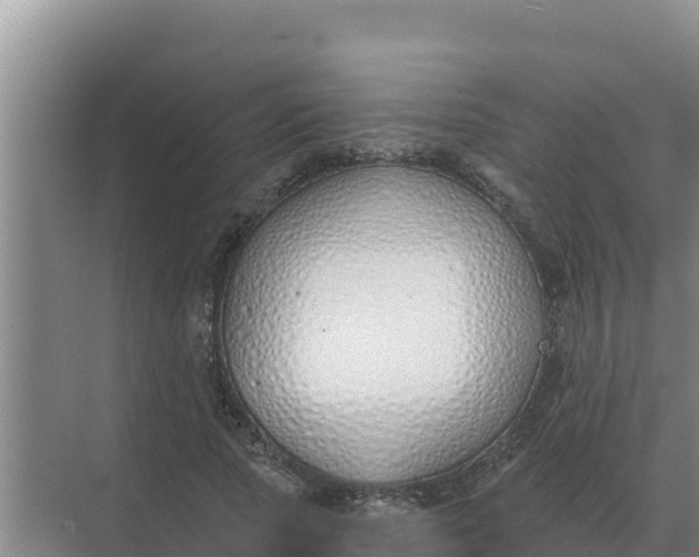 X0000071770737200607150028