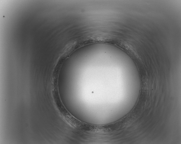 X0000071770738200607150028