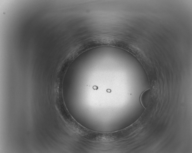 X0000071770739200607150028