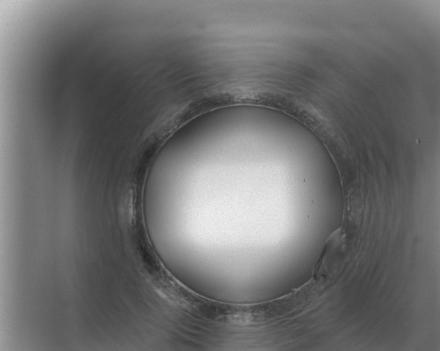 X0000071770740200607150028