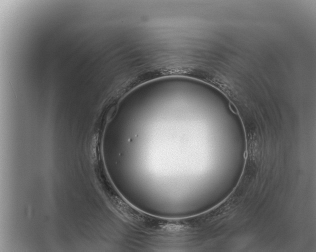 X0000071770742200607150028