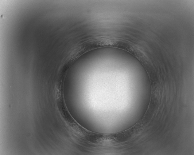 X0000071770743200607150028