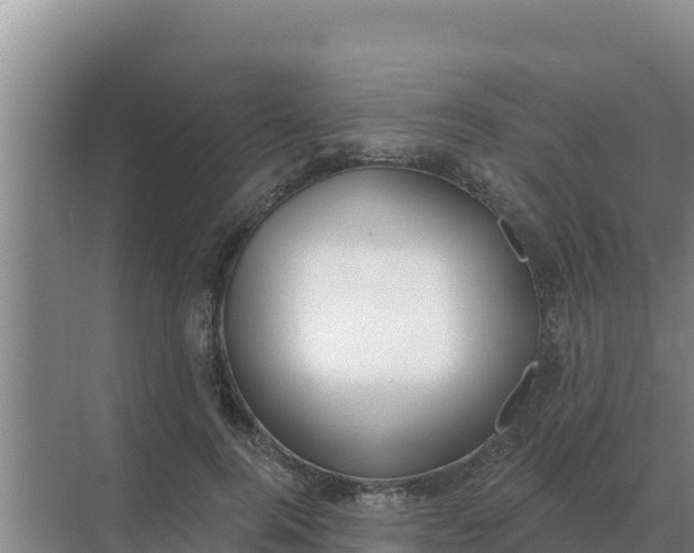 X0000071770744200607150028