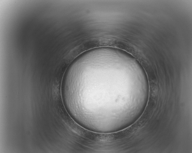 X0000071770745200607150028