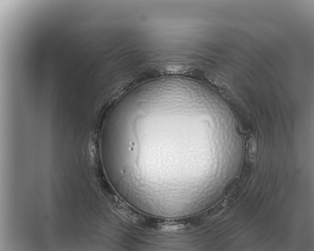 X0000071770746200607150028