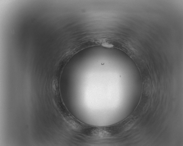 X0000071770747200607150028