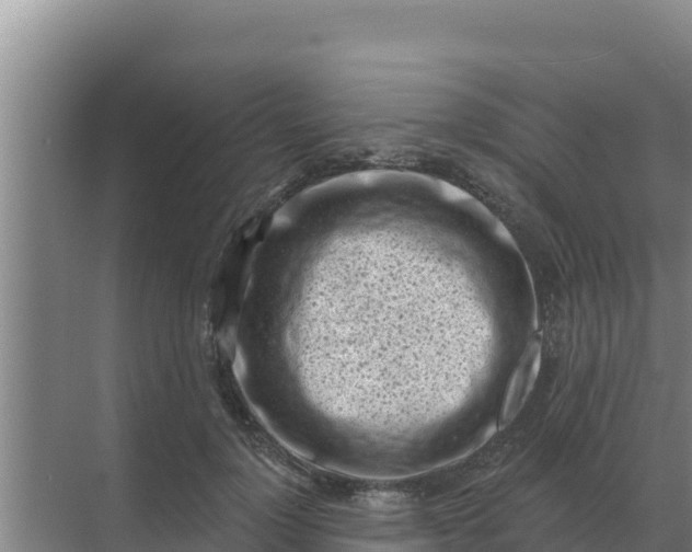 X0000071770748200607150028