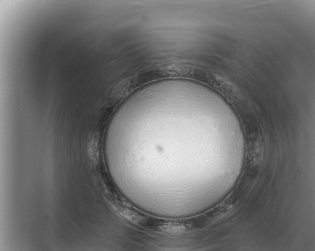 X0000071770749200607150028